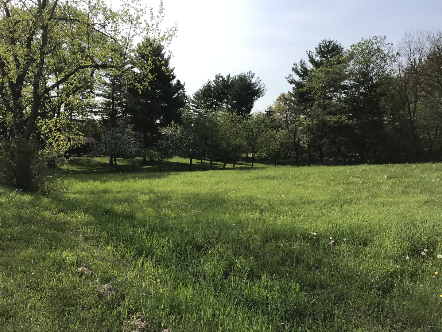 28577 West Fox River Road Cary, IL 60013 - Photo 3 of 12 a view of a green field with trees in the background