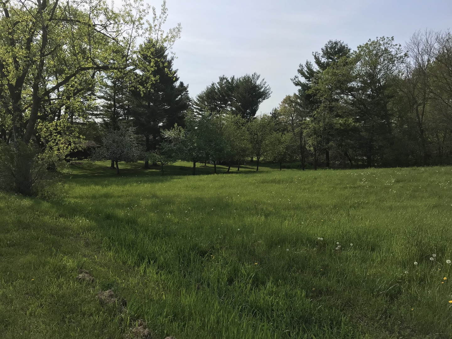 28577 West Fox River Road Cary, IL 60013 - Photo 4 of 12 a view of a grassy field