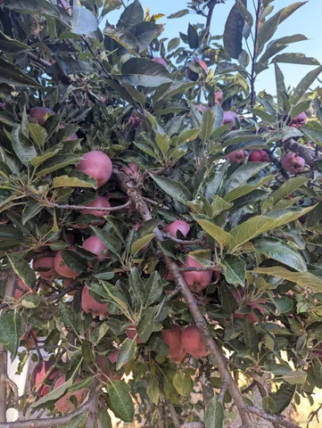 a view of a hallway with wooden shelves