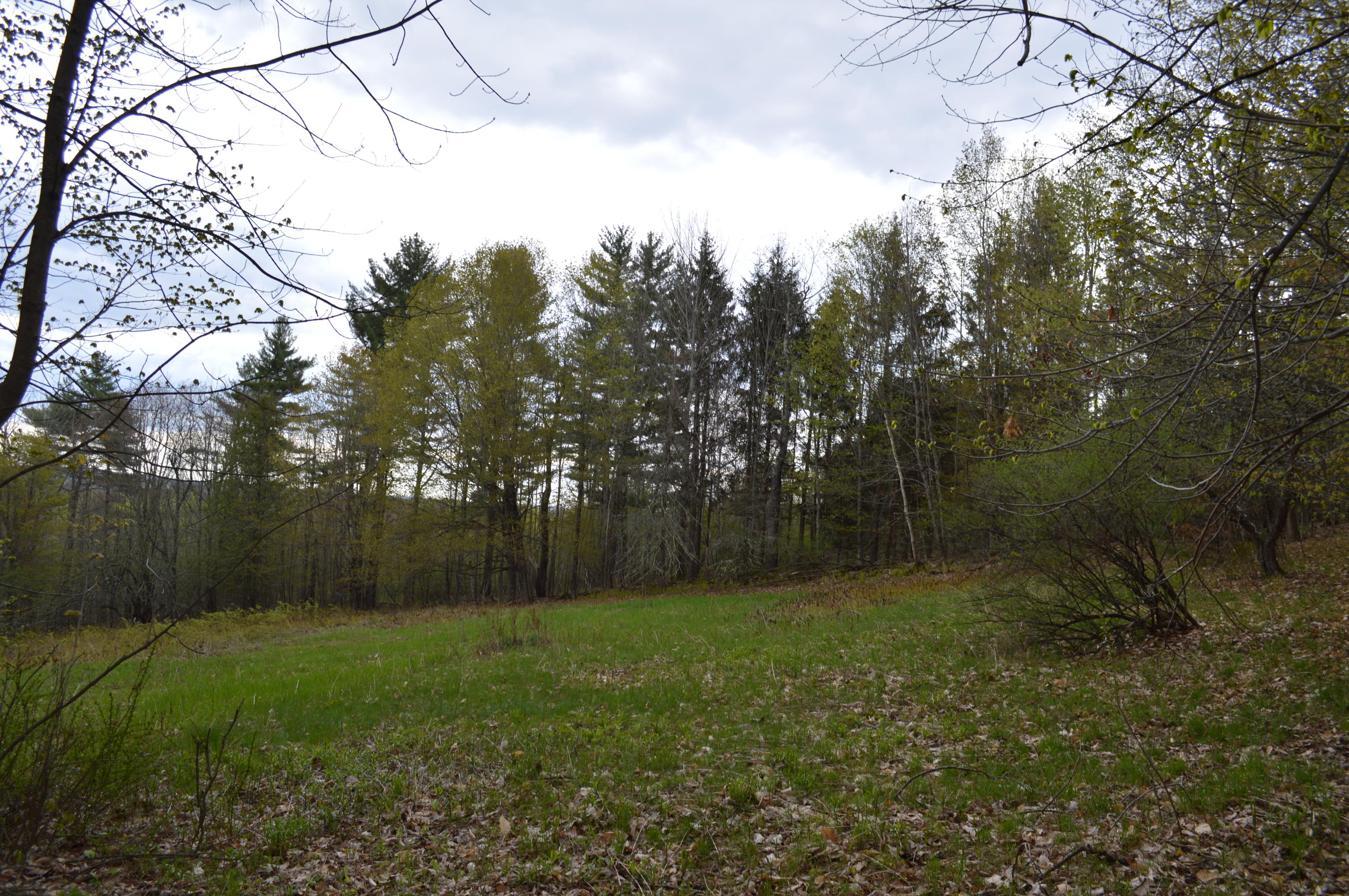 777 Sturtevant Hill Road Winthrop, ME 04364 - Photo 23 of 36 DSC_0013