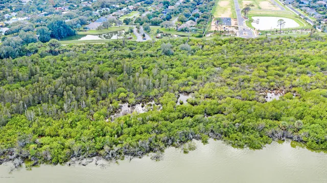 view of a lush green field