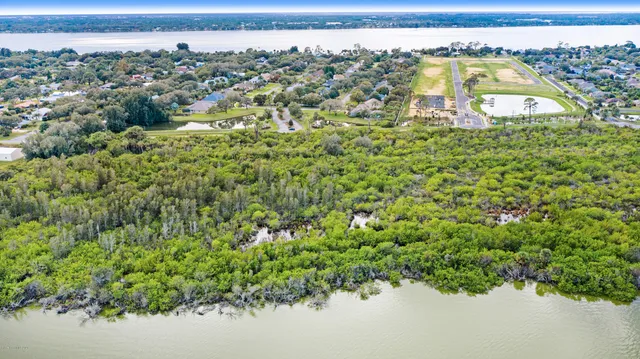 a view of a bird bath and trees