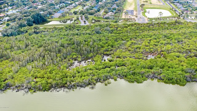 a close up of a plant