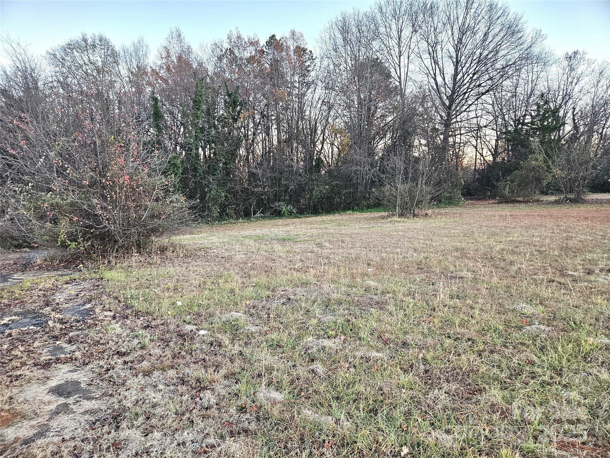 127 33rd Street Southwest Hickory, NC 28602 - Photo 5 of 7 a view of empty field with trees