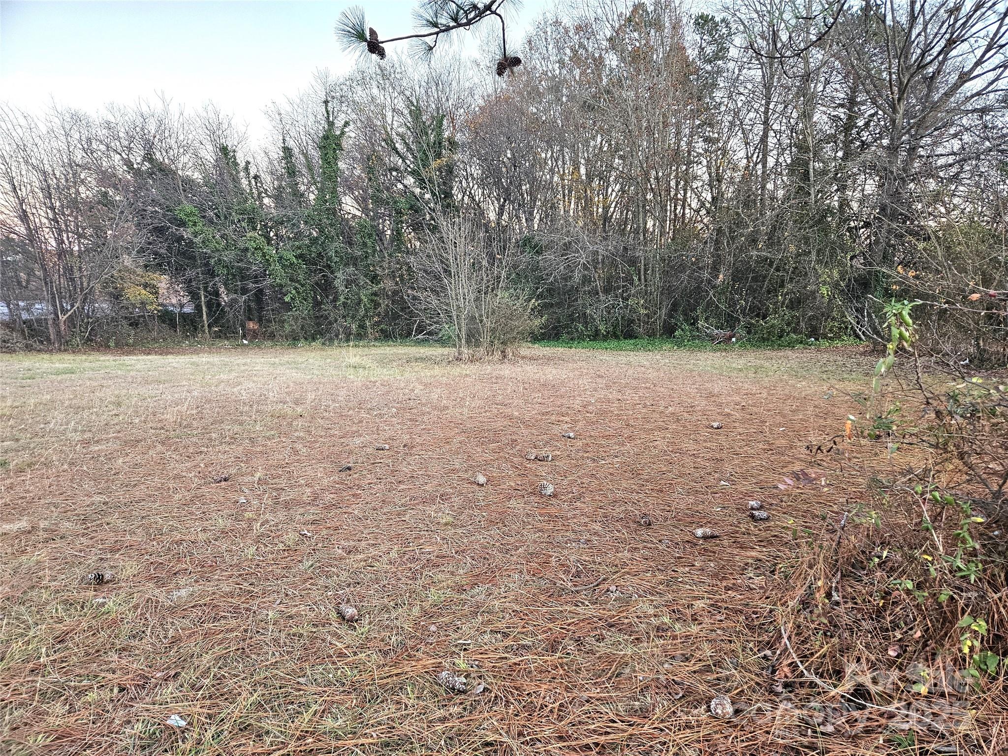 127 33rd Street Southwest Hickory, NC 28602 - Photo 6 of 7 a backyard of a house with lots of green space