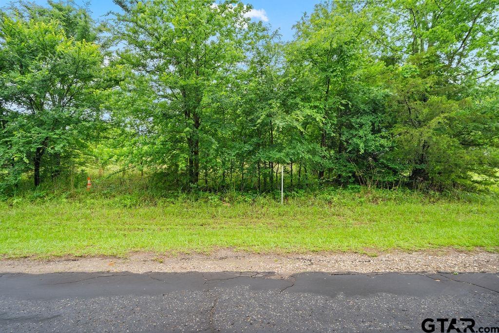 a view of a out door space