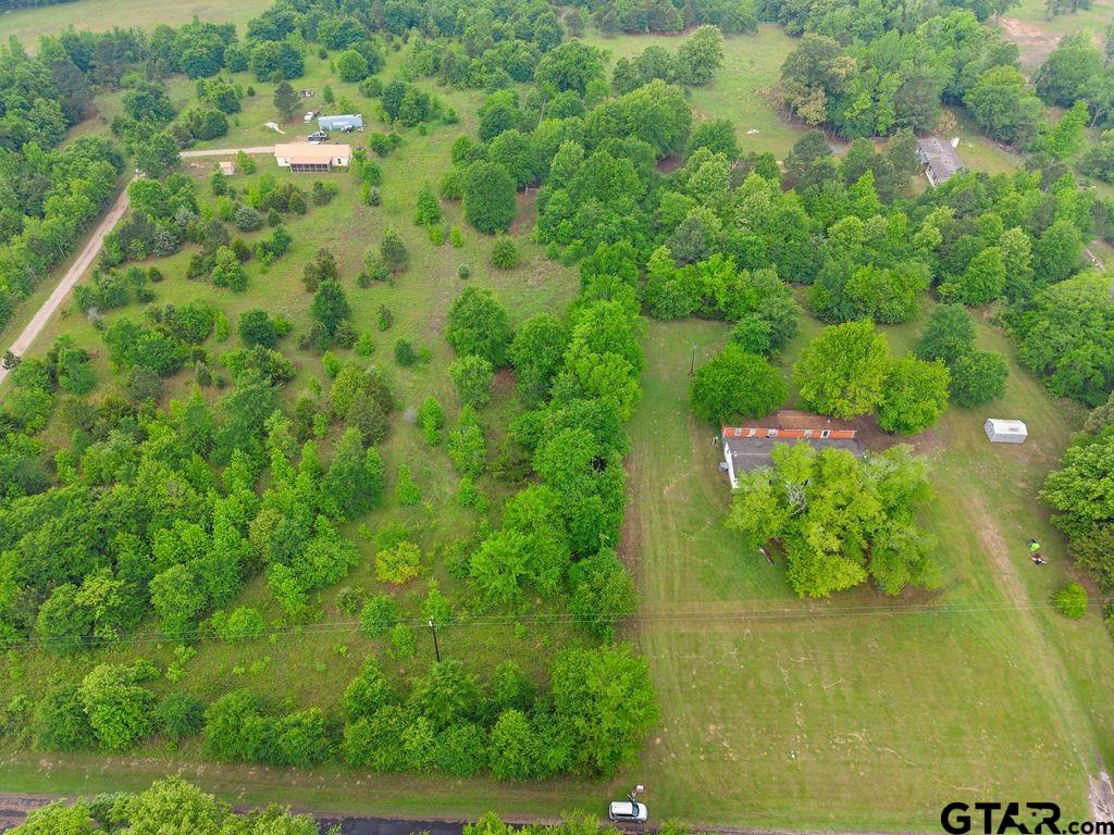 Tbd Tbd 4910th Ben Wheeler, TX 75754 - Photo 11 of 18