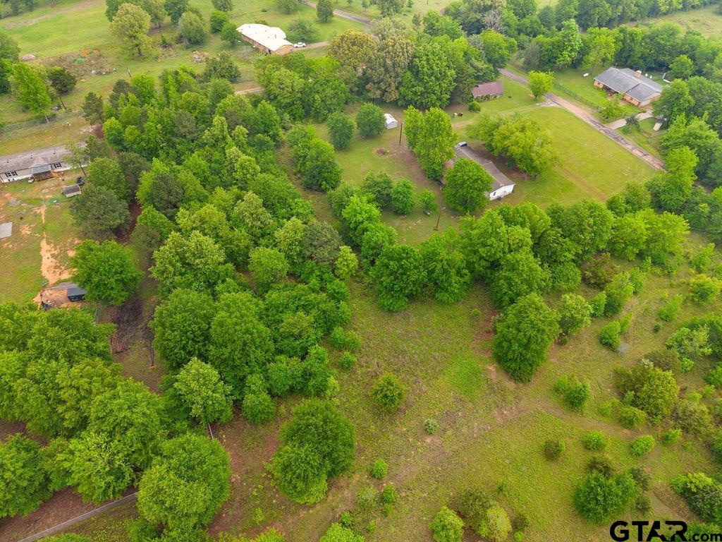 Tbd Tbd 4910th Ben Wheeler, TX 75754 - Photo 14 of 18 a view of a garden