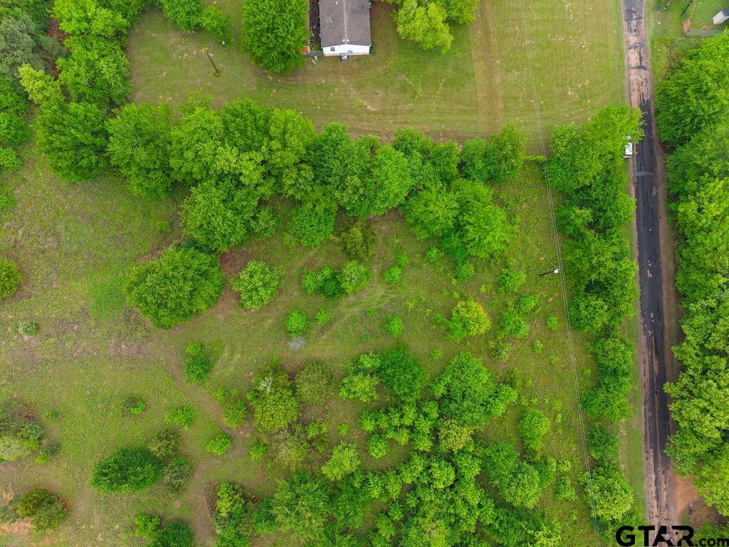 Tbd Tbd 4910th Ben Wheeler, TX 75754 - Photo 15 of 18 a view of a garden