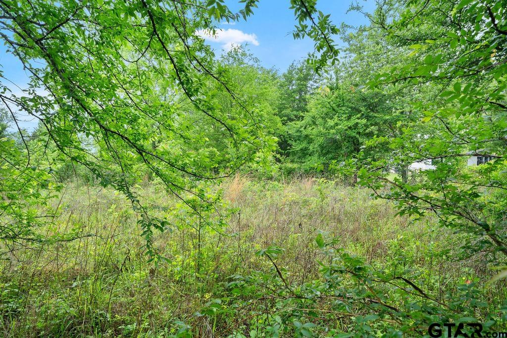 Tbd Tbd 4910th Ben Wheeler, TX 75754 - Photo 16 of 18 a view of a lush green space