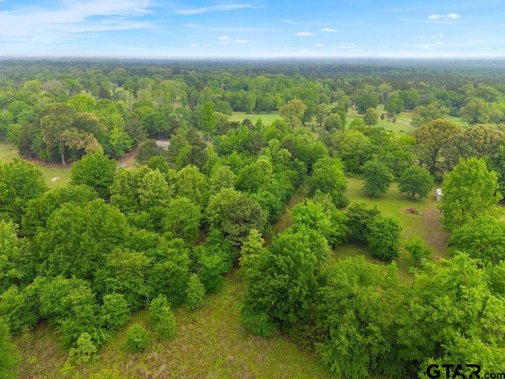 Tbd Tbd 4910th Ben Wheeler, TX 75754 - Photo 3 of 18 an aerial view of residential houses with outdoor space and trees