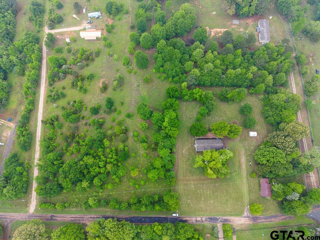 Tbd Tbd 4910th Ben Wheeler, TX 75754 - Photo 4 of 18 a view of a garden