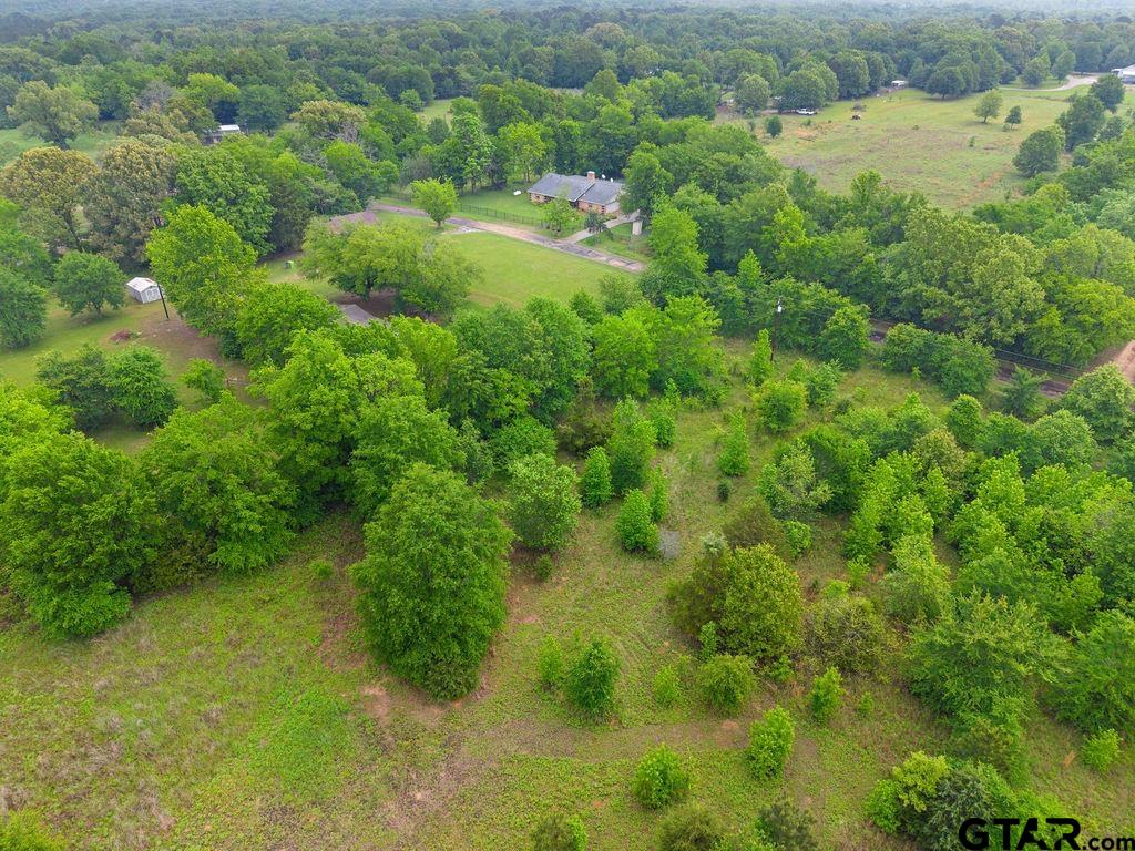 Tbd Tbd 4910th Ben Wheeler, TX 75754 - Photo 7 of 18 a view of a lush green forest with lots of trees