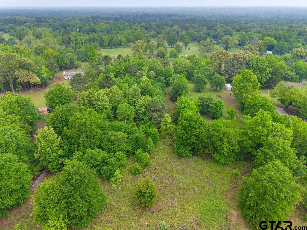 Tbd Tbd 4910th Ben Wheeler, TX 75754 - Photo 8 of 18 a view of a forest with a street