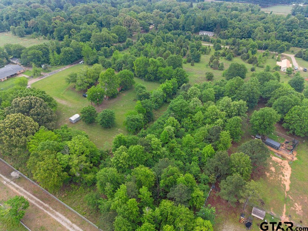 Tbd Tbd 4910th Ben Wheeler, TX 75754 - Photo 9 of 18 a view of a lush green forest with lawn chairs and plants