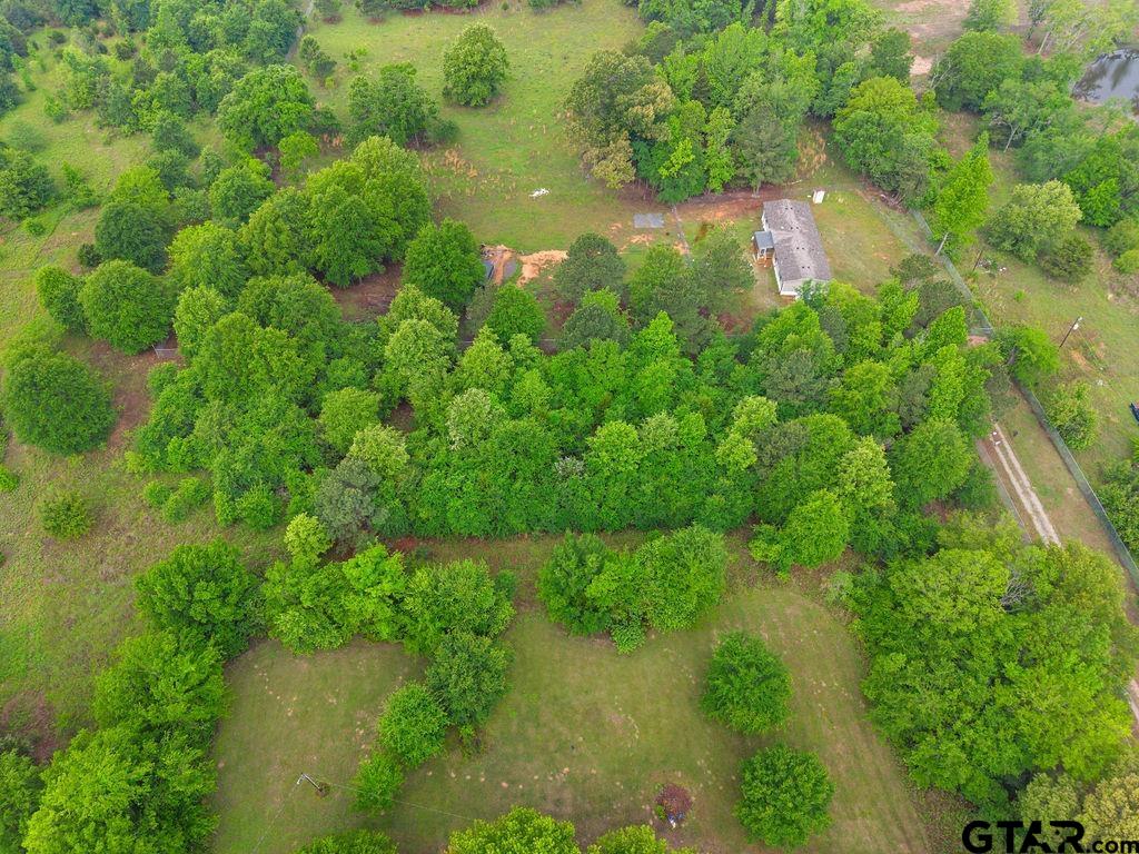 Tbd Tbd 4910th Ben Wheeler, TX 75754 - Photo 10 of 18 a view of a lake with a yard