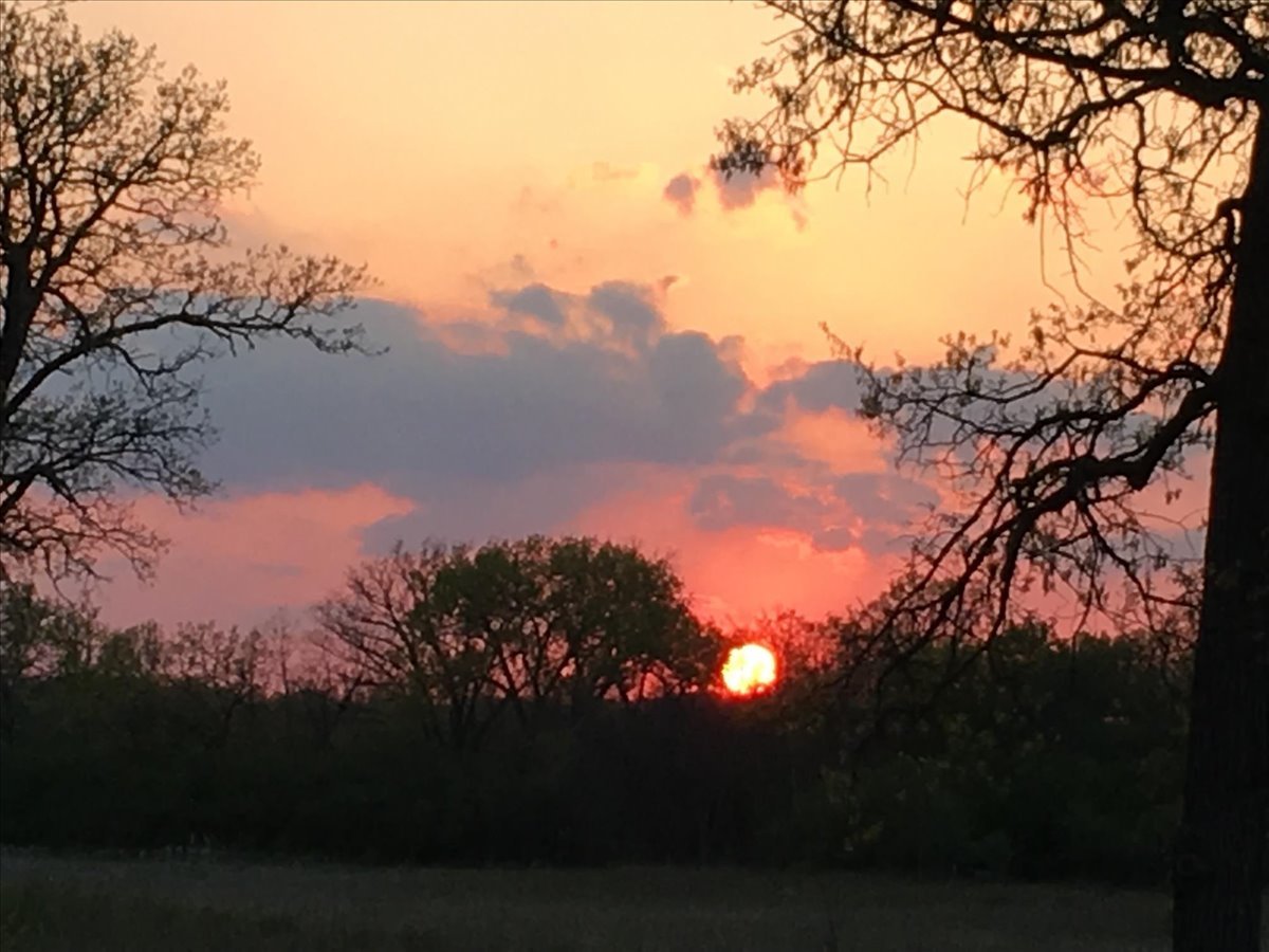 26403 North Farwell Road Mettawa, IL 60045 - Photo 44 of 51