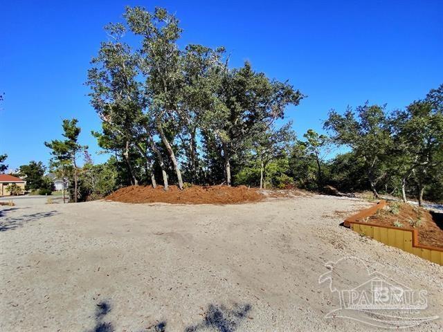 30300 River Road Orange Beach, AL 36561 - Photo 32 of 33