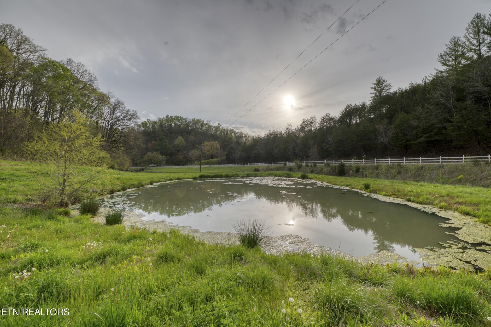 2226 Holt Town Road Newport, TN 37821 - Photo 51 of 60 Gallery Image 51