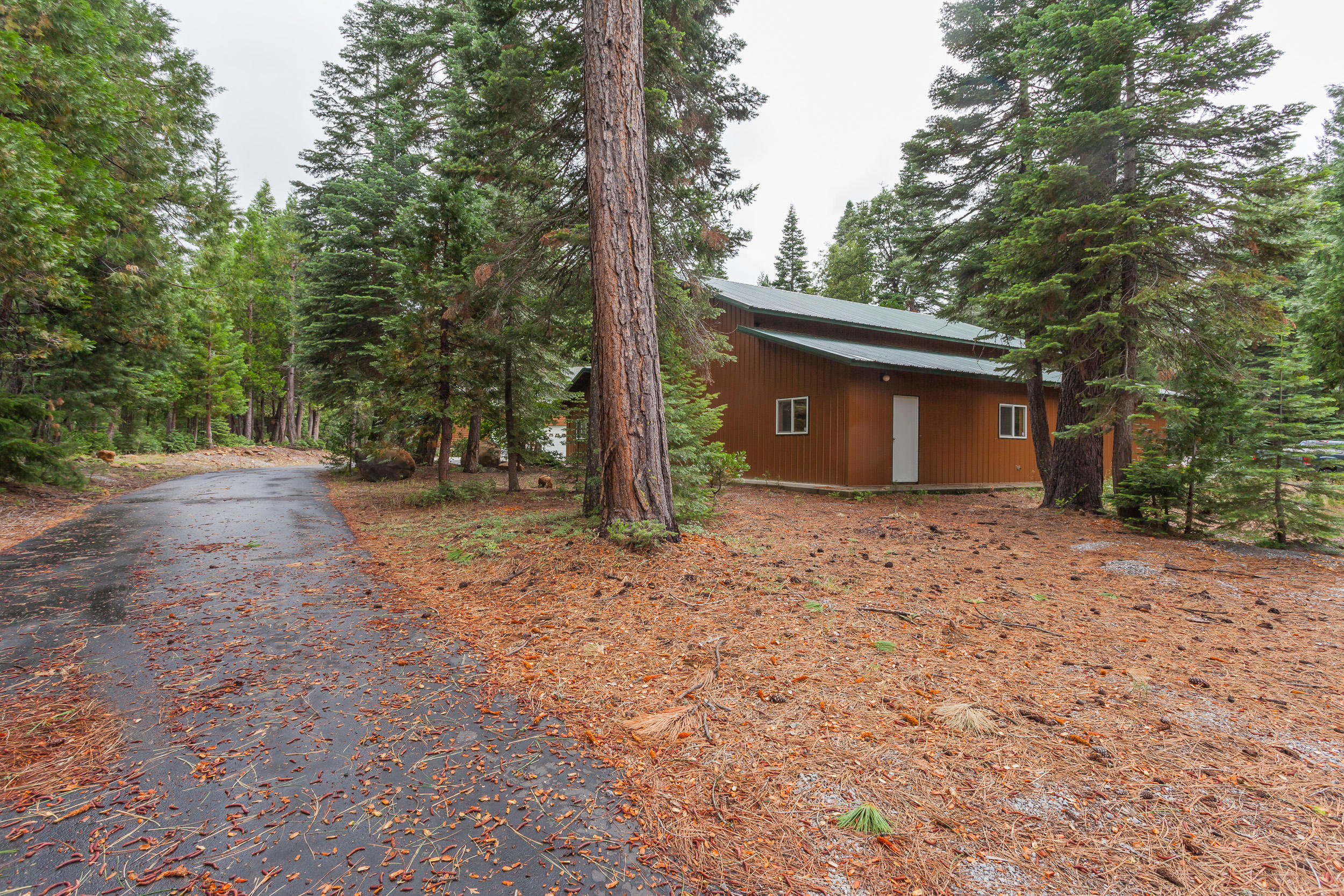 7900 Brokeoff Meadows Road Shingletown, CA 96088 - Photo 4 of 59 7900BrokeOffMeadowsRoad-MLS-5