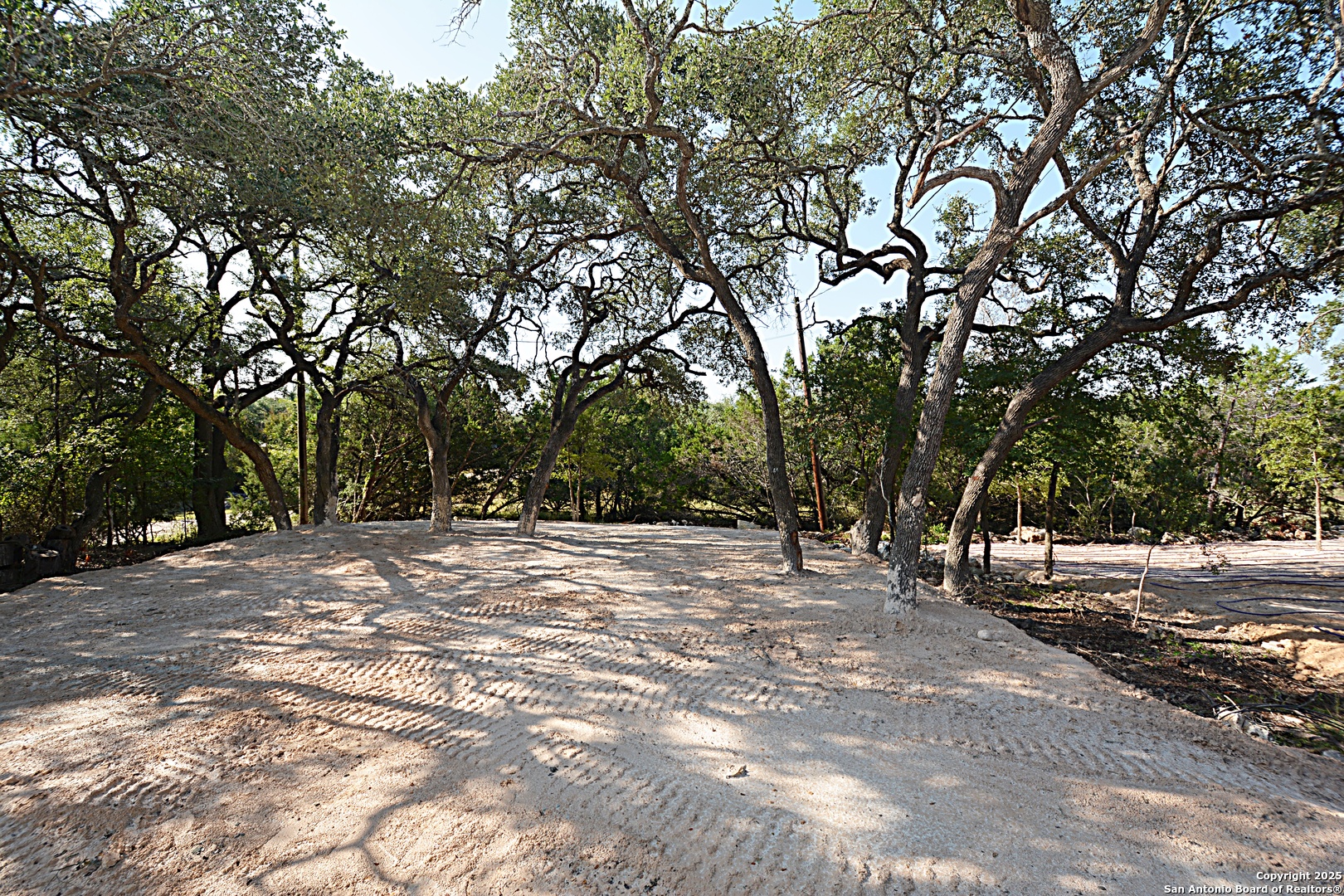 968 High Drive Spring Branch, TX 78070 - Photo 9 of 9 a view of a tree with a trees