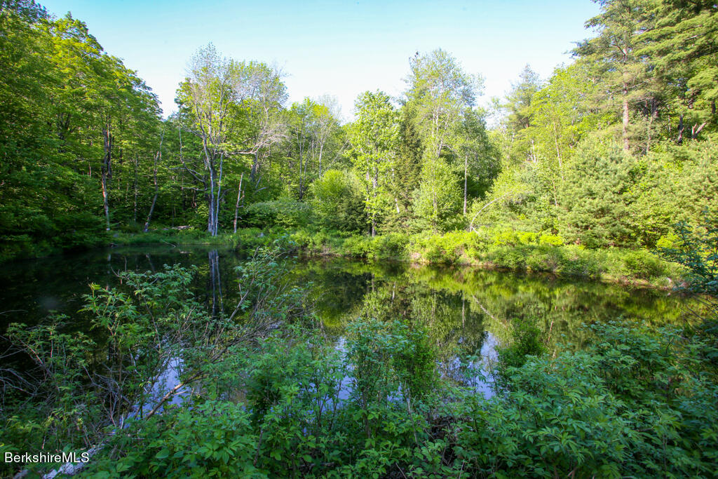 86 West Hill Road Hawley, MA 01339 - Photo 41 of 44 1AAS9A9407
