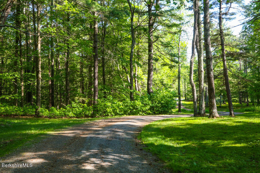 86 West Hill Road Hawley, MA 01339 - Photo 44 of 44 1A580A6714