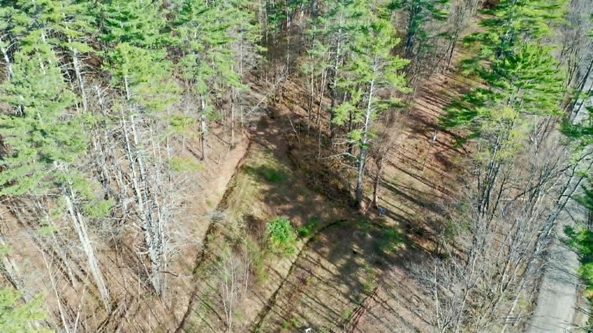0 Turkey Mountain Road Jamaica, VT 05343 - Photo 11 of 49 Gallery Image 11