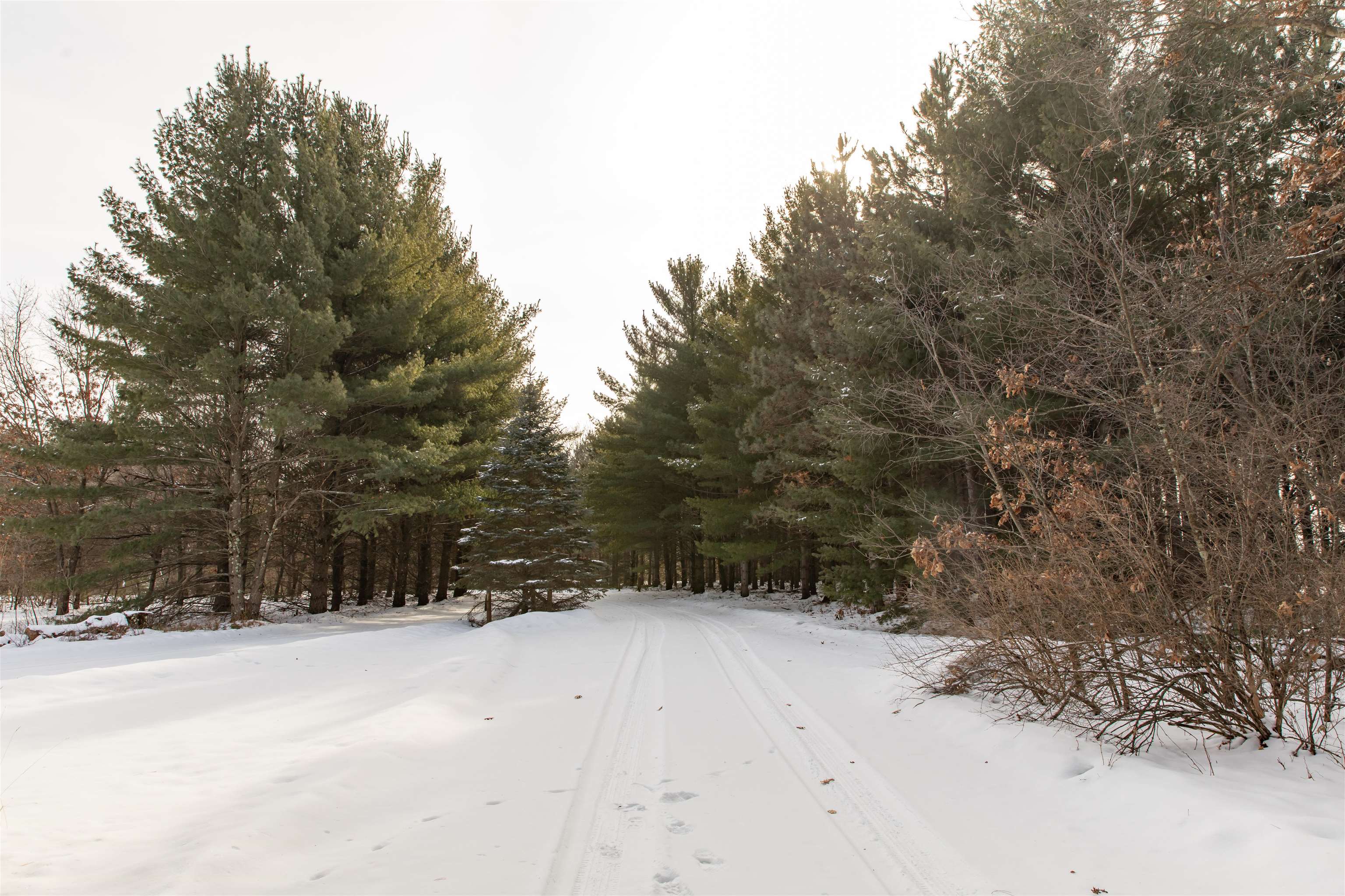 2763 2nd Oxford, WI 53952 - Photo 66 of 82