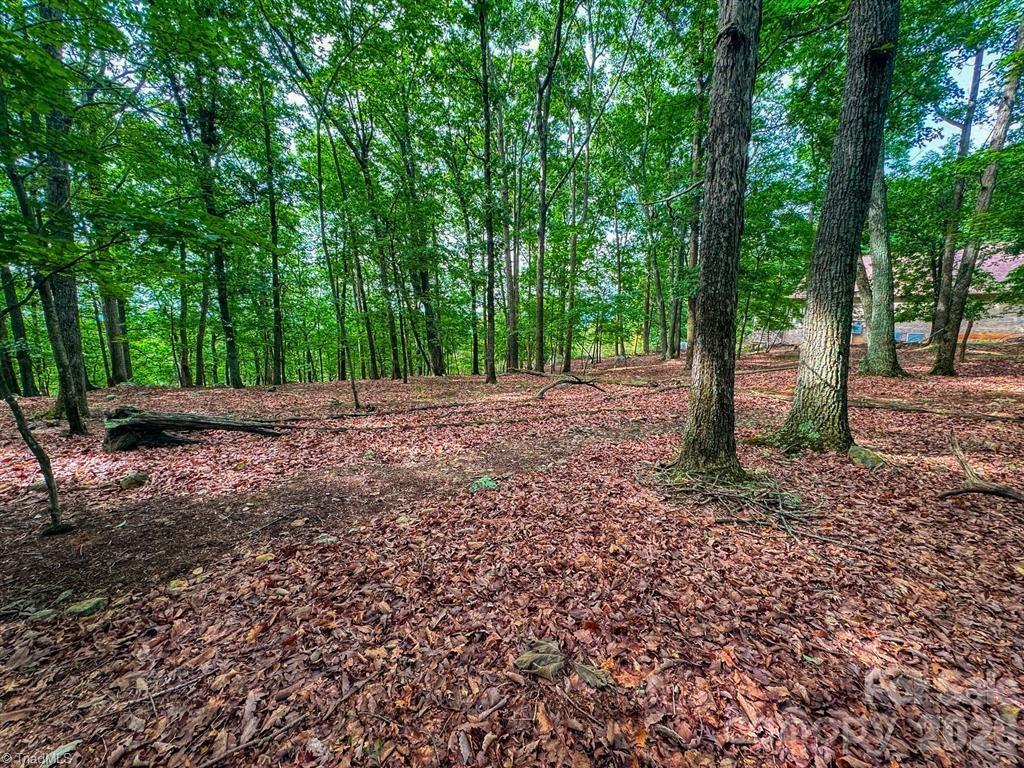 1616 Sierra Trace Road Denton, NC 27239 - Photo 14 of 42 Gallery Image 14