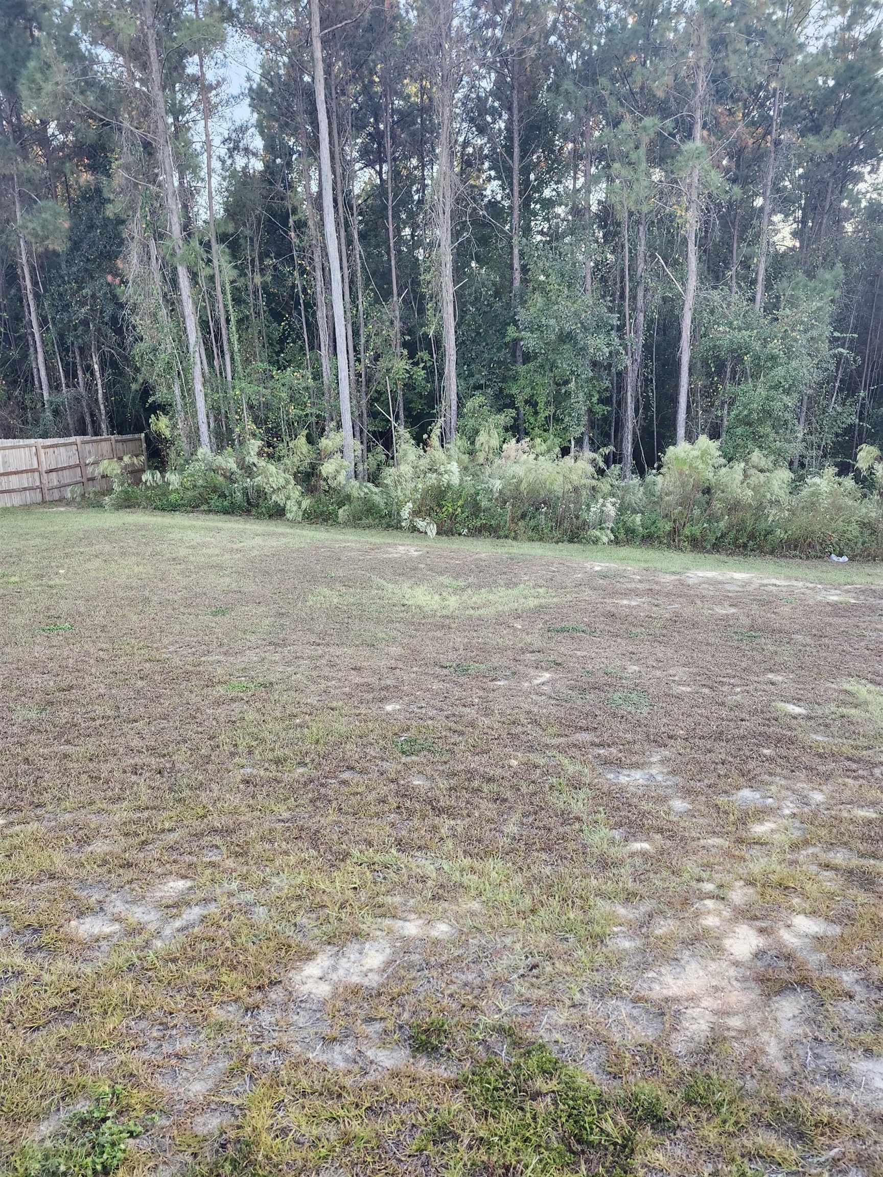 49 Francis Harrell Way Midway, FL 32343 - Photo 8 of 28