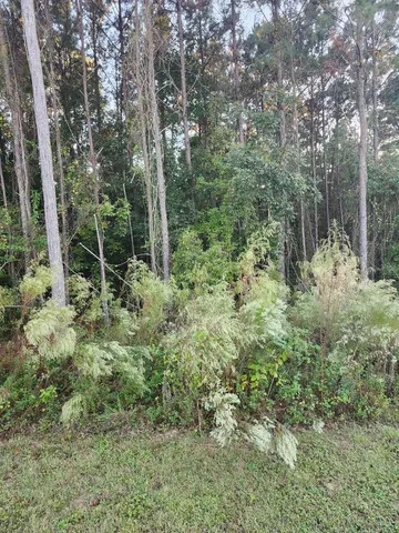 $280,000 | 49 Francis Harrell Way, Midway, FL 32343