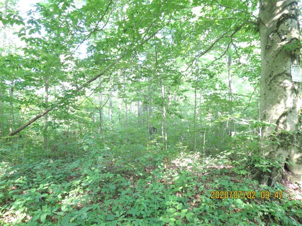 0 North Stinson Road Morgantown, IN 46160 - Photo 1 of 5 Gallery Image 1