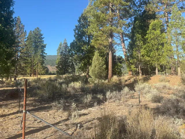 $1,150,000 | 42048 Wilcox Road, Hat Creek, CA 96040