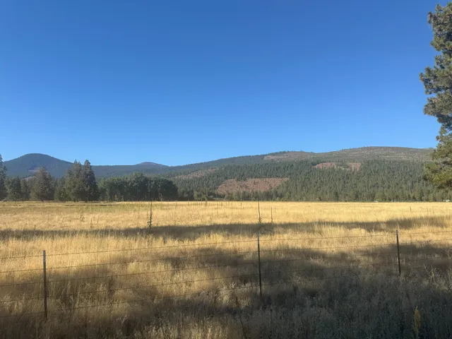 $1,150,000 | 42048 Wilcox Road, Hat Creek, CA 96040
