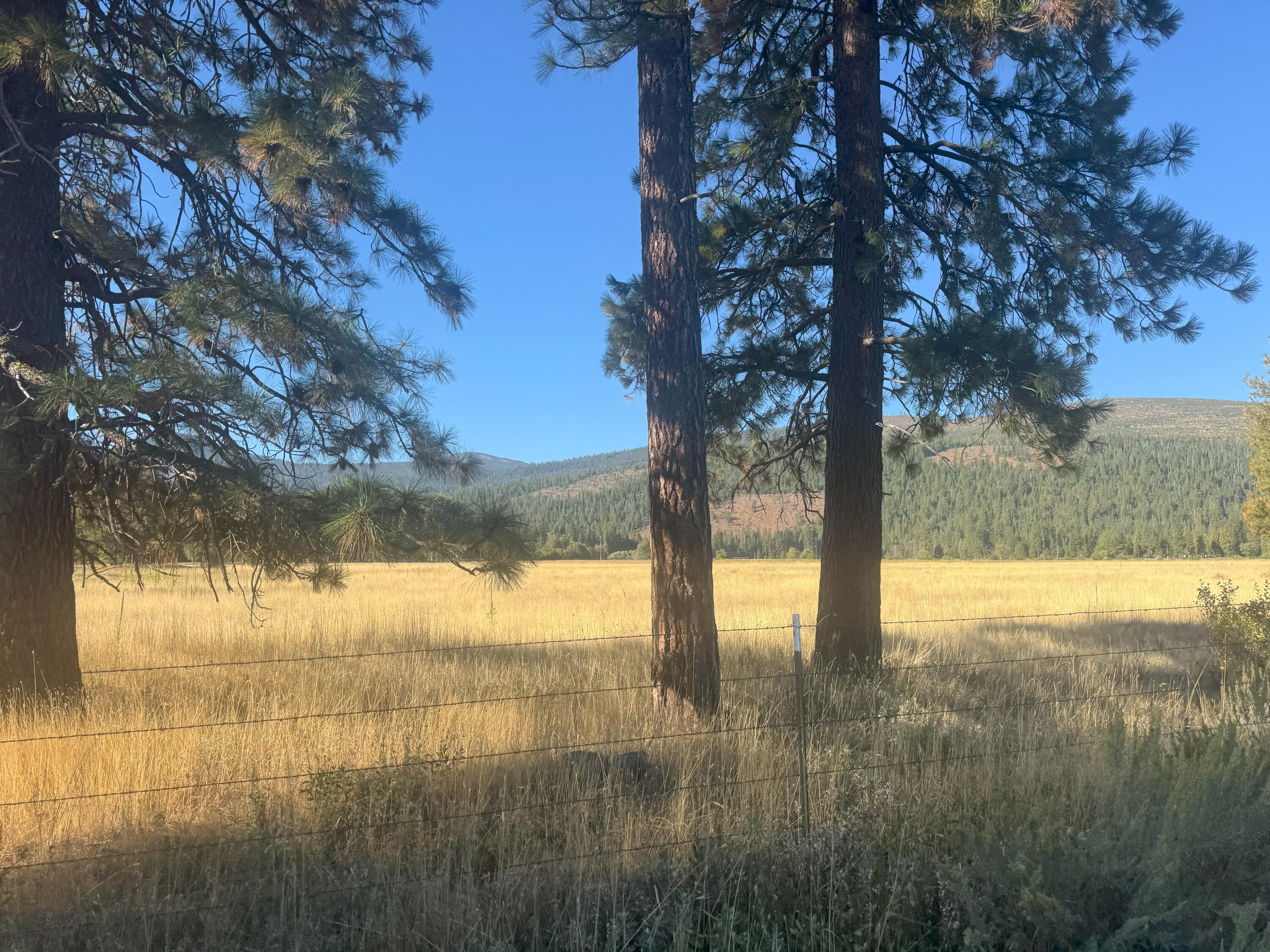 42048 Wilcox Road Hat Creek, CA 96040 - Photo 127 of 134 20250923_161708459_iOS