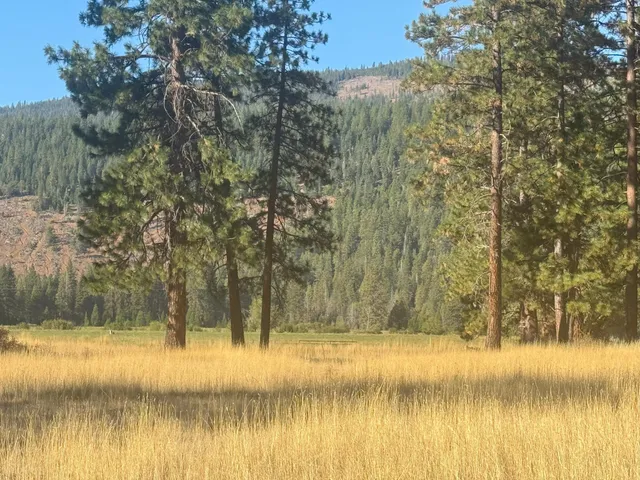 $1,150,000 | 42048 Wilcox Road, Hat Creek, CA 96040