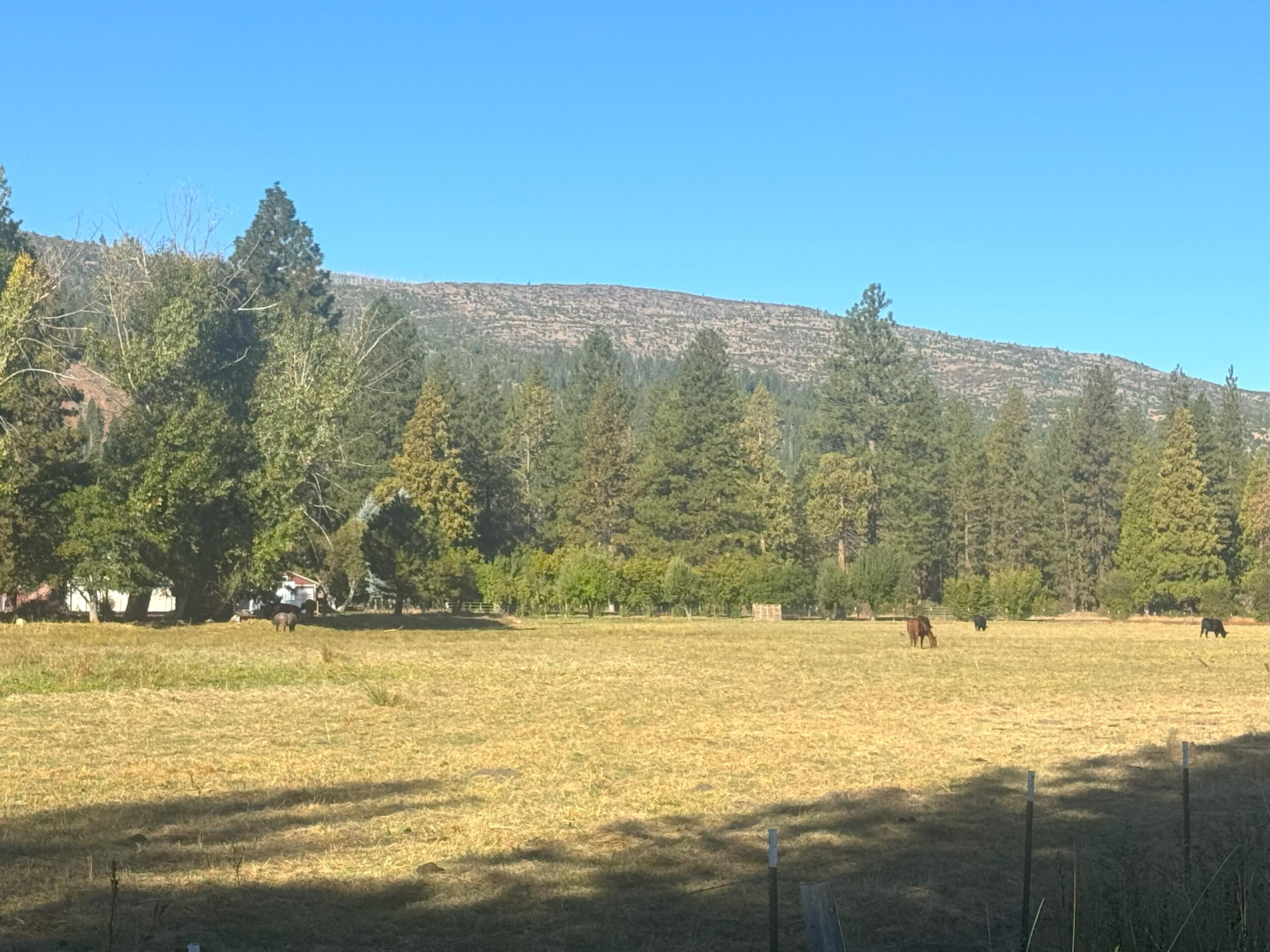 42048 Wilcox Road Hat Creek, CA 96040 - Photo 129 of 134 20250923_161934679_iOS