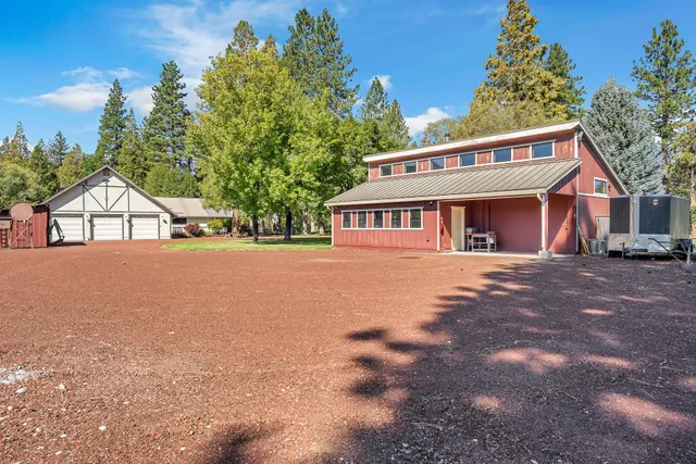 a view of a trees with a big yard