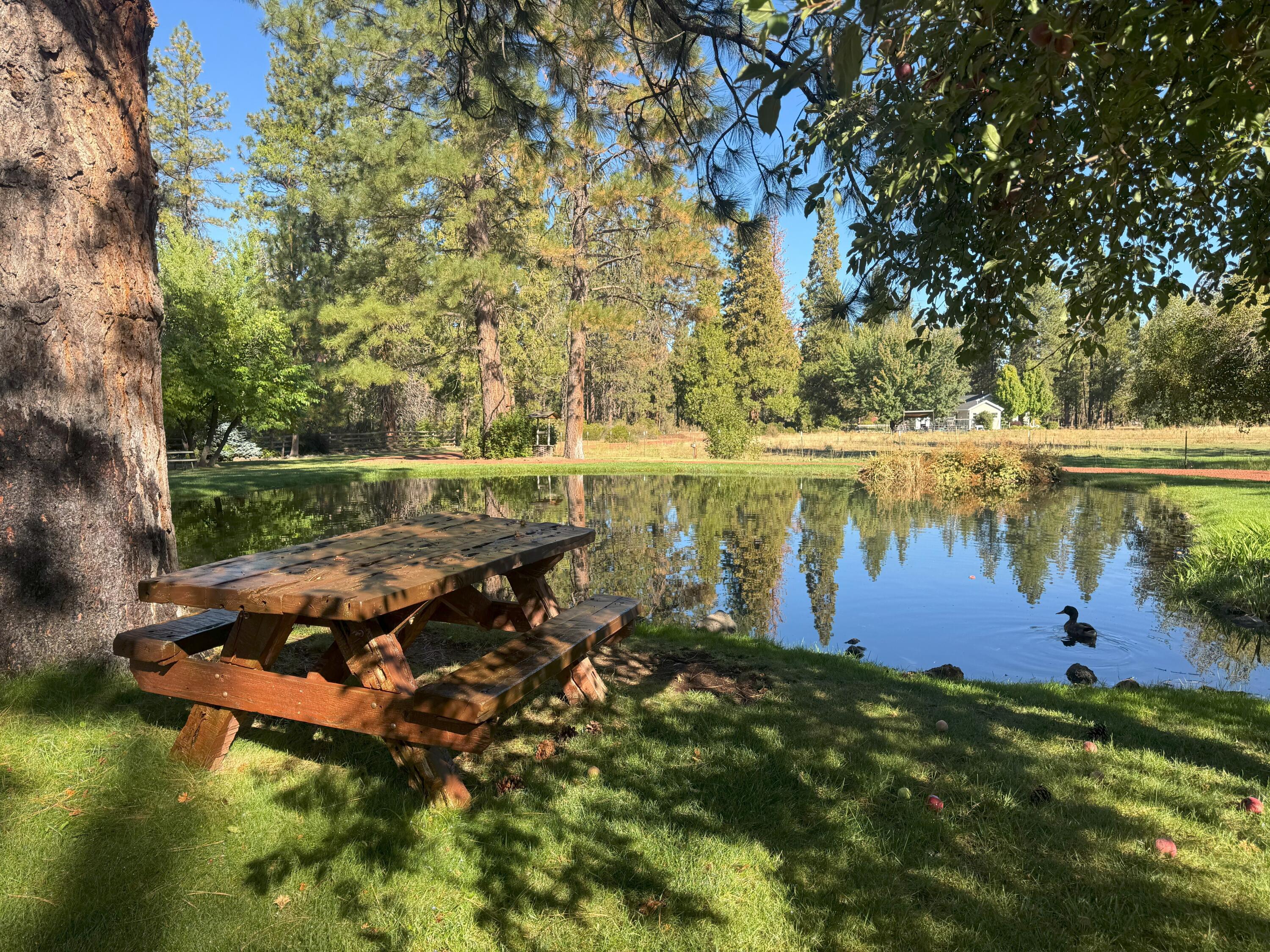 42048 Wilcox Road Hat Creek, CA 96040 - Photo 10 of 134 20250923_165213573_iOS