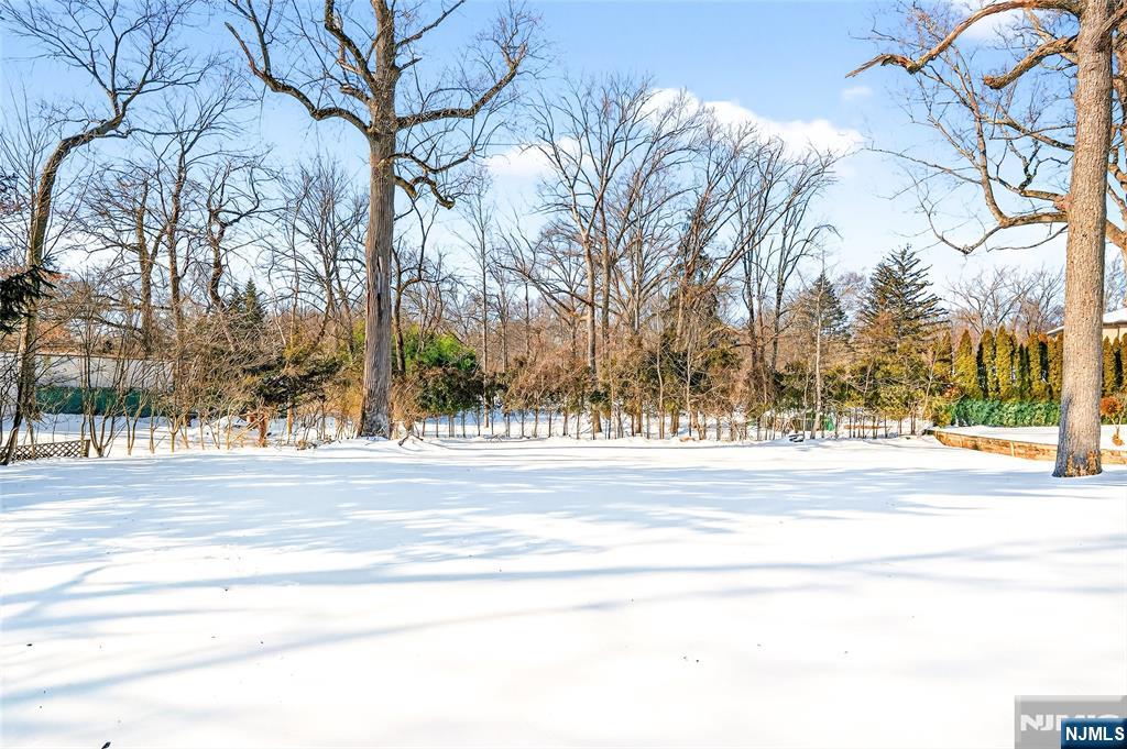 499 Paramus Road Paramus, NJ 07652 - Photo 50 of 50