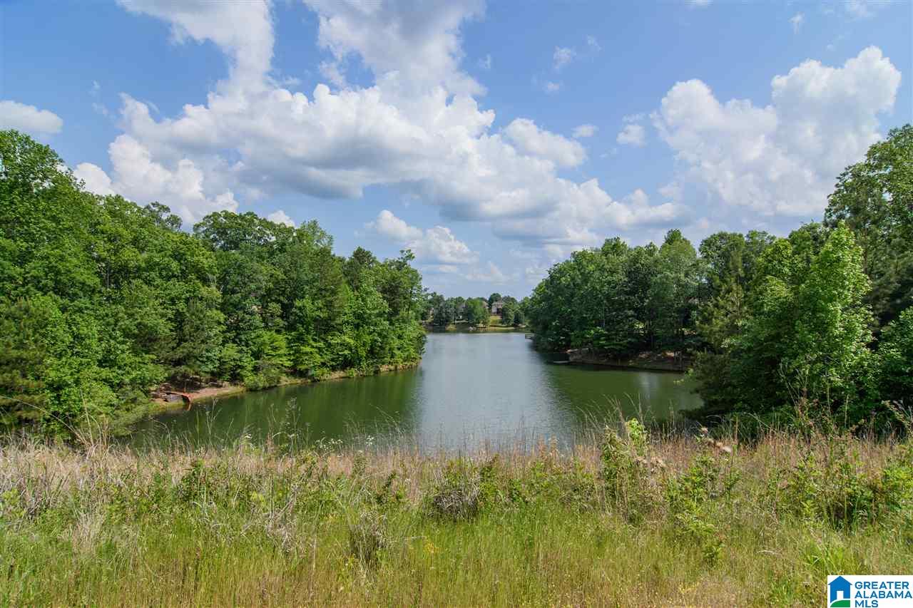 364 Deer Ridge Lane Chelsea, AL 35043 - Photo 41 of 42