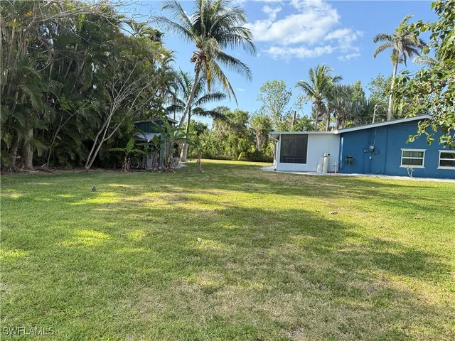 a view of a tree in a yard