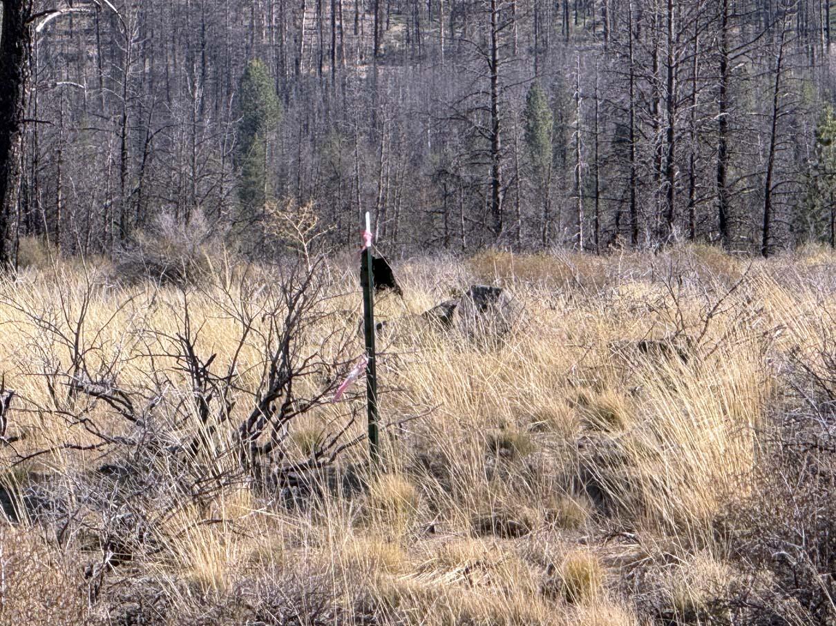 Bull Pine Road, Unit 500 400 300 Beatty, OR 97621 - Photo 50 of 50 IMG_4183