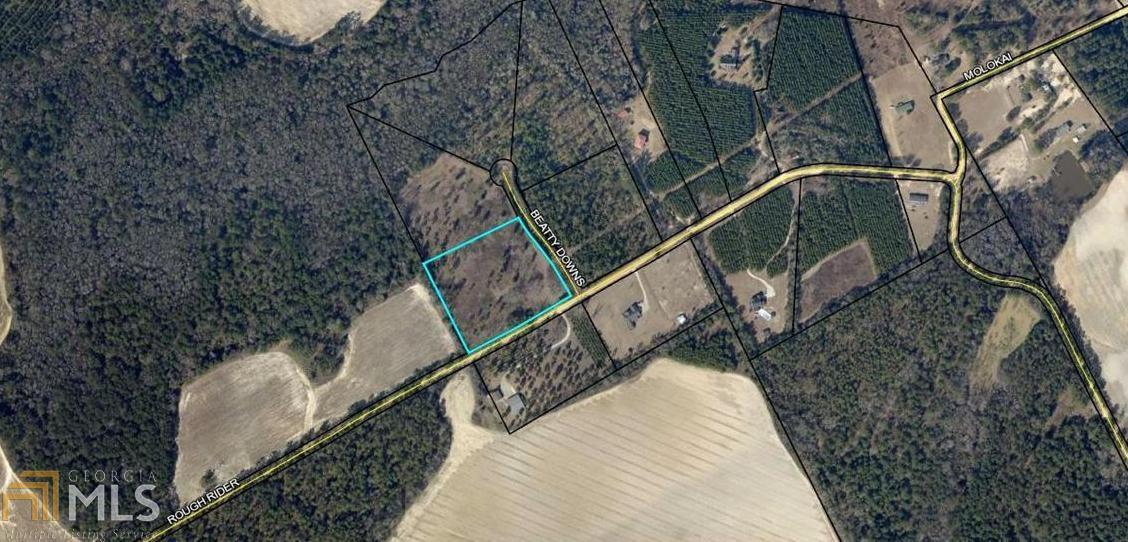 0 Rough Rider Road Statesboro, GA 30461 - Photo 1 of 1 Gallery Image 1