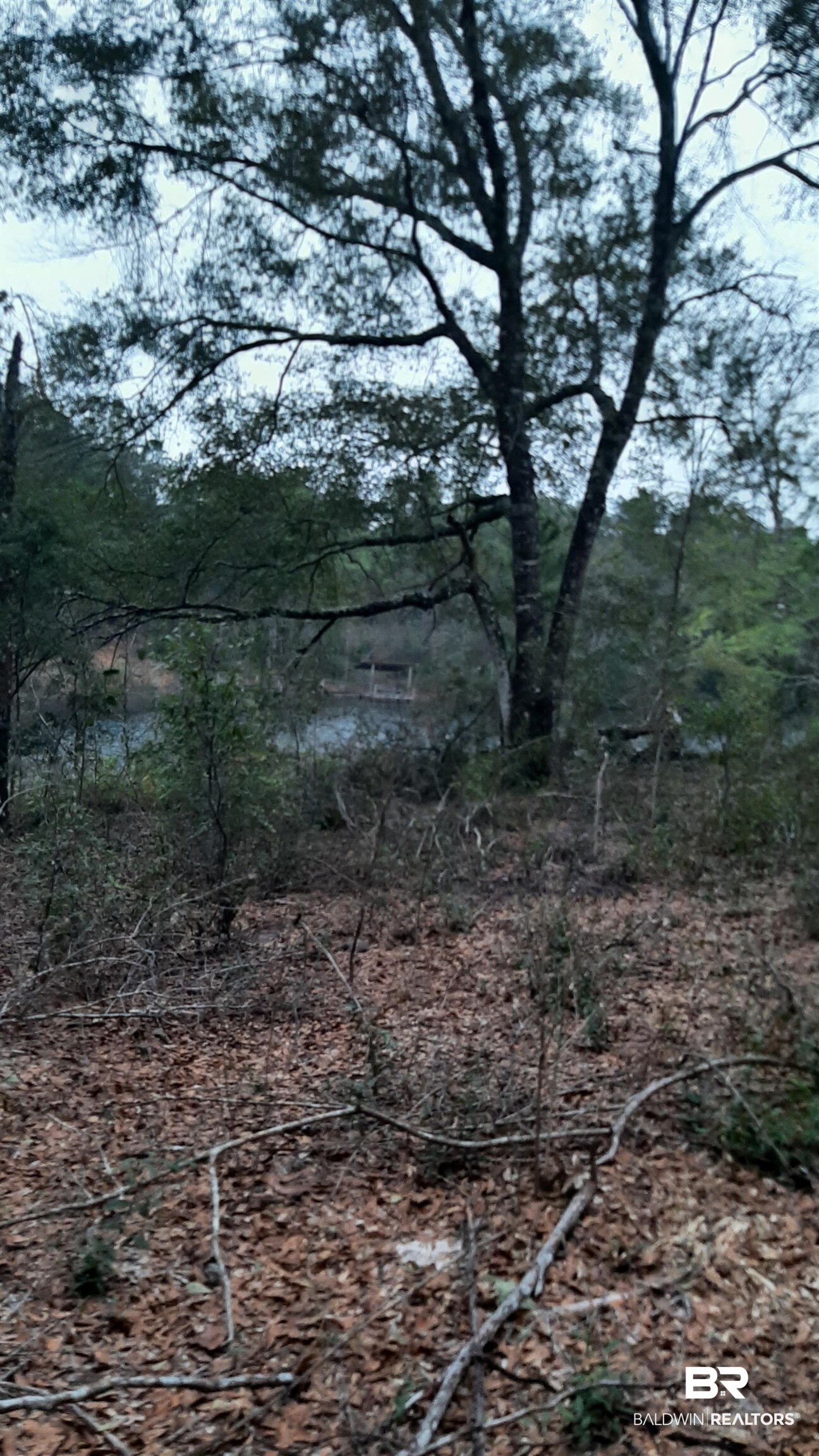 11375 Spring Lake Road Chunchula, AL 36521 - Photo 14 of 26