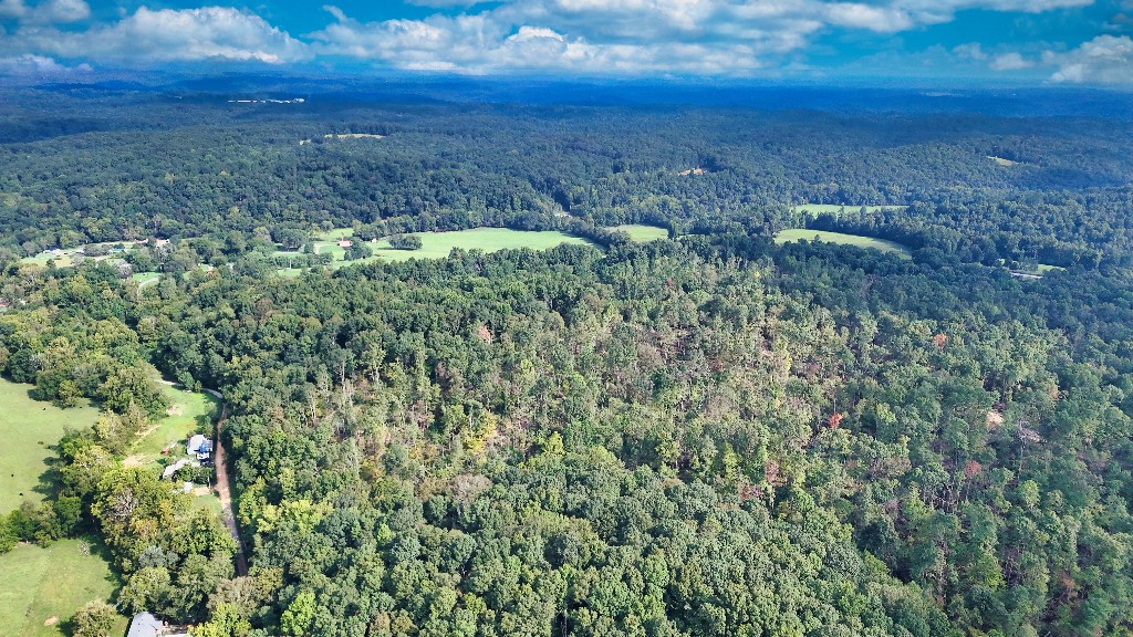 0 Baker Hollow Road Nunnelly, TN 37137 - Photo 3 of 15 Gallery Image 3