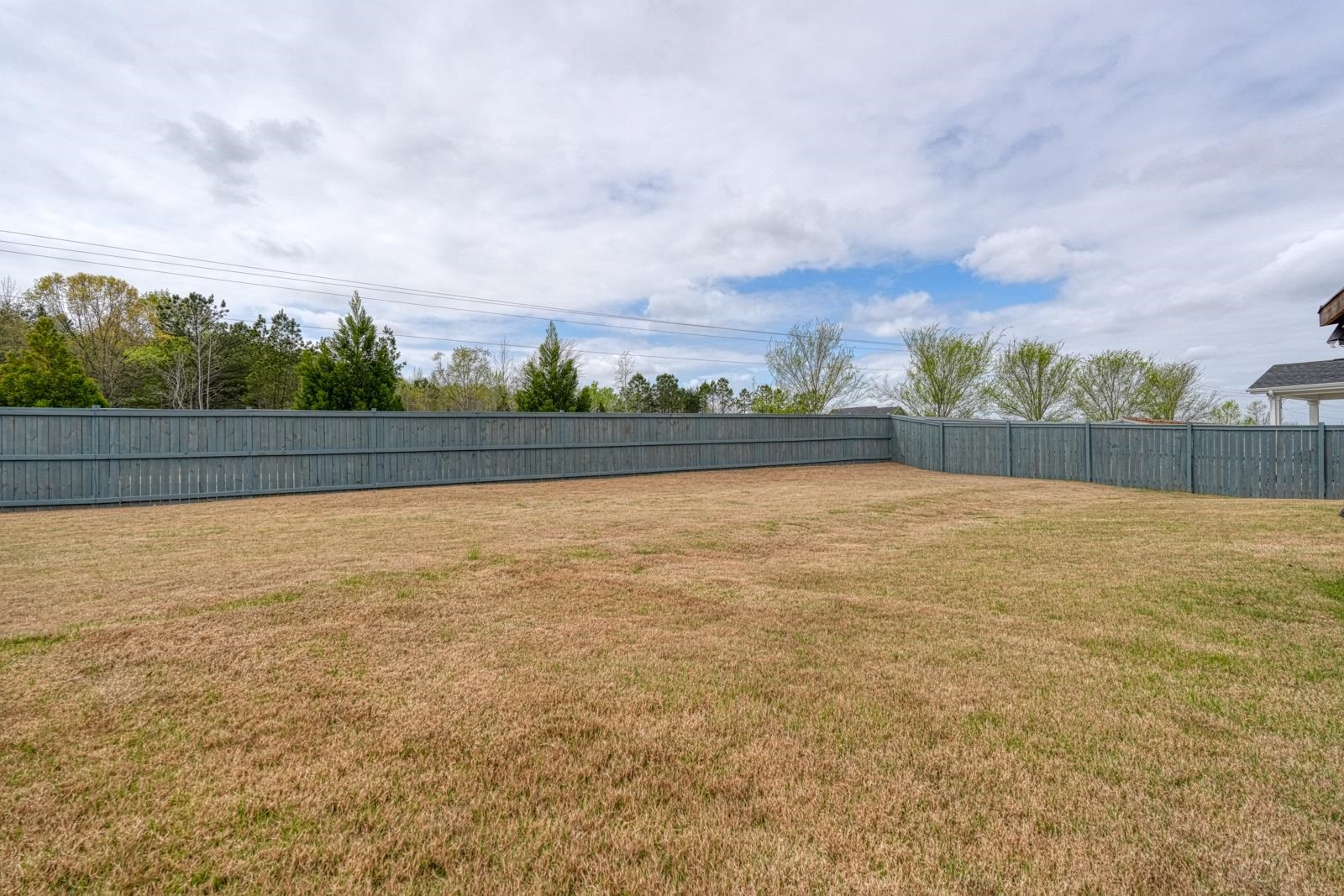 773 Lady Fern Drive Woodruff, SC 29388 - Photo 32 of 43