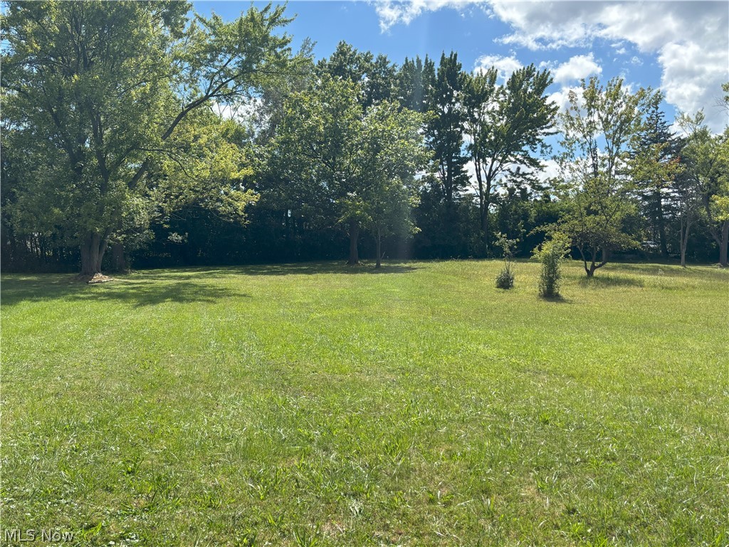 20732 Applegate Road Maple Heights, OH 44137 - Photo 9 of 41