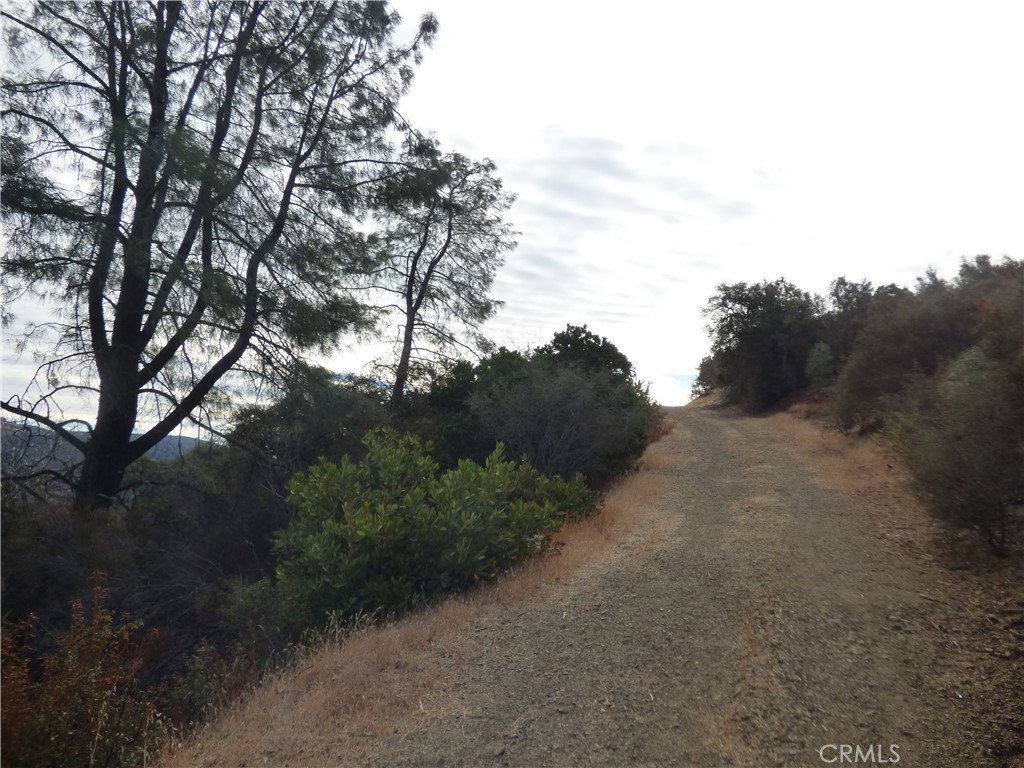 19900 Cantwell Ranch Road Lower Lake, CA 95457 - Photo 19 of 20 Nice roadway up to the top of property.